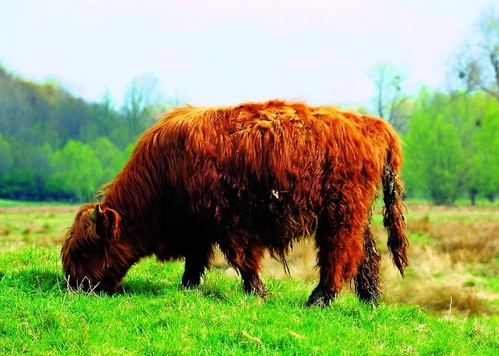 Fletcher Restaurant De Geulvallei Hotell Valkenburg aan de Geul