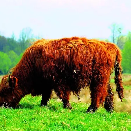 Fletcher Restaurant De Geulvallei Hotel Valkenburg aan de Geul